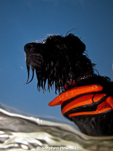Man's Best Friend.  Canon G10, Sea and Sea Strobe. by Stephen Holinski 